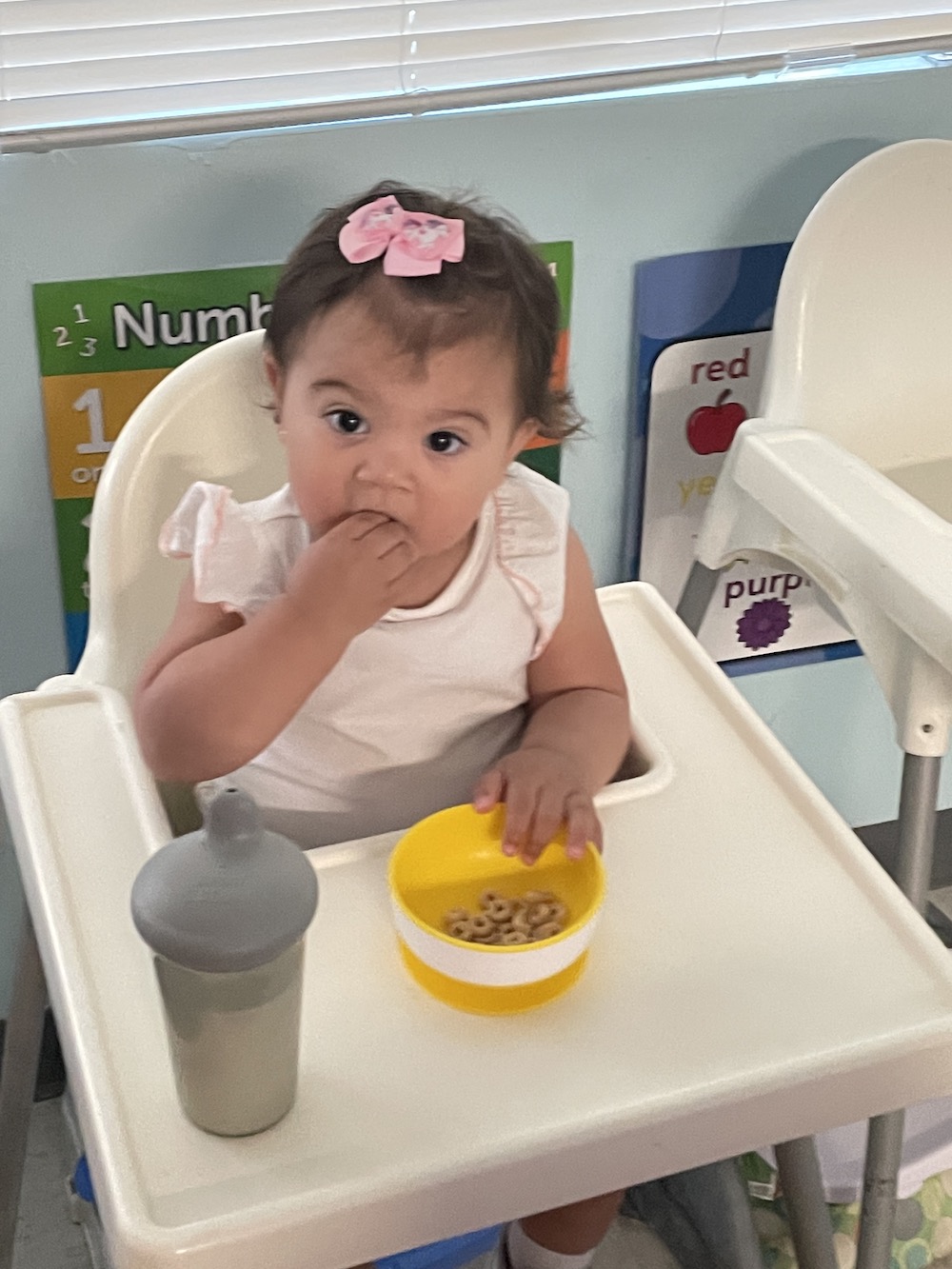 A toddler girl with a pink bow in her hair eats Cheerios with her fingers sitting in a high chair.