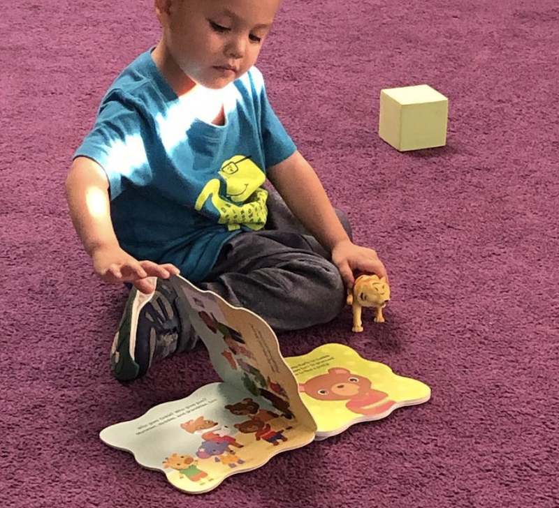 A little boy is sitting on a pink carpet holding a toy dinosaur, reading a book.