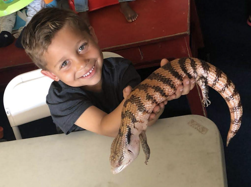 A little boy with a big smile is excited to be holding The Learning Box pet, a reptile.