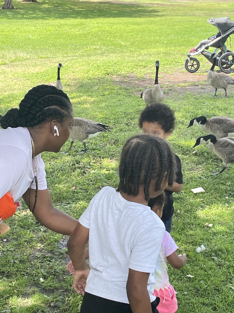 Teacher helping children get close to geese without being afraid of them.