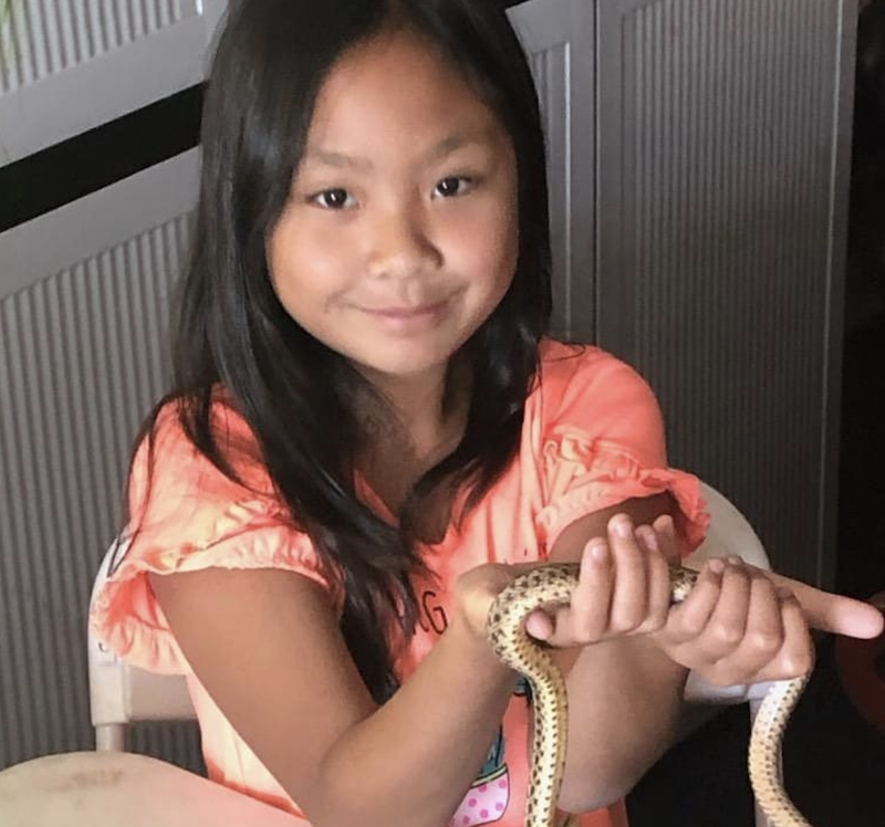 A girl is holding a small snake to learn about how its skin texture feels.